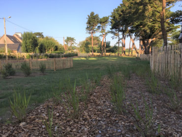 Plantations en bord de mer - Chevallier Paysage