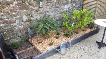 Plantation jardinière surelévée - Chevallier Paysage
